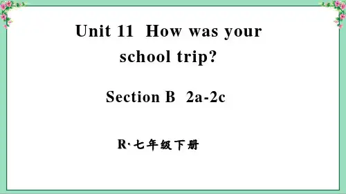 人教版英语七年级下册Unit 11 Section B(2a-2c)新版课件