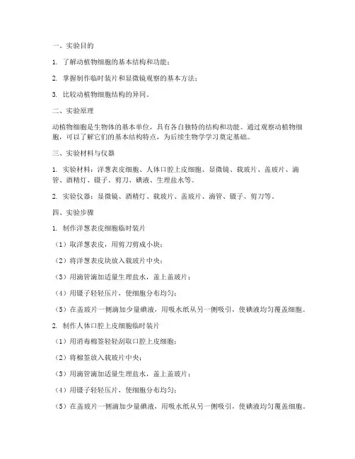 动植物细胞实验报告