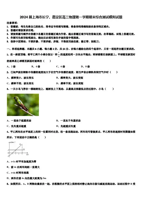 2024届上海市长宁、嘉定区高三物理第一学期期末综合测试模拟试题含解析