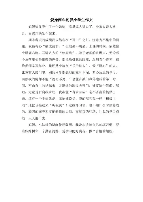 爱操闲心的我小学生作文