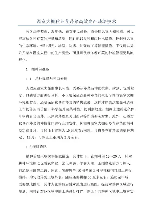 温室大棚秋冬茬芹菜高效高产栽培技术