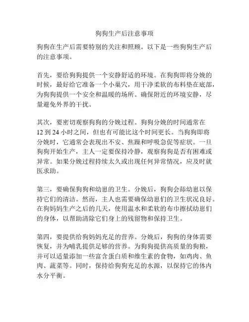 狗狗生产后注意事项