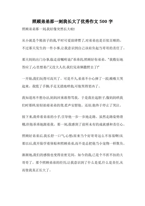 照顾弟弟那一刻我长大了优秀作文500字