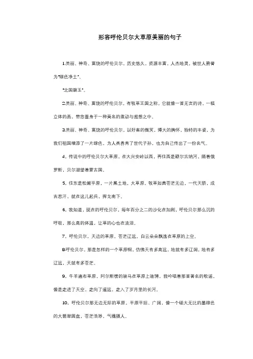 形容呼伦贝尔大草原美丽的句子 -回复