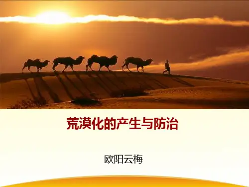 中图版高中地理选修六3.2《荒漠化的产生与防治》课件(共37张PPT)