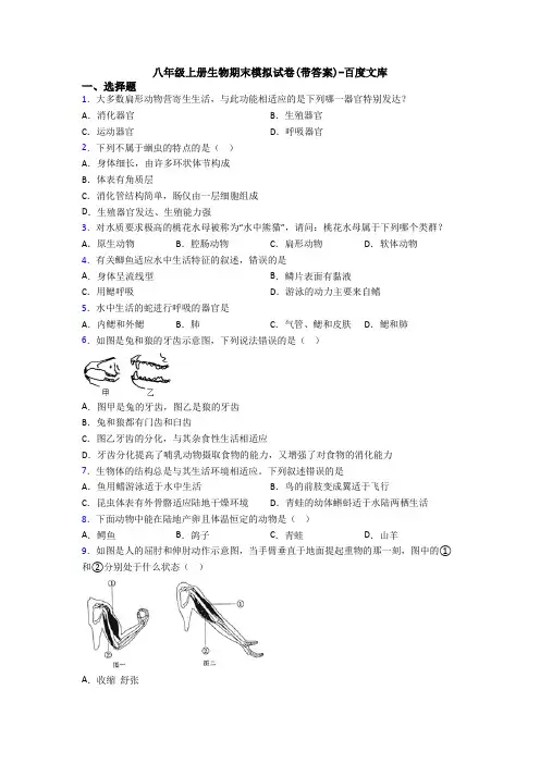 八年级上册生物期末模拟试卷(带答案)-百度文库