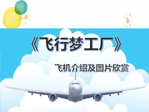 湘美版美术五年级(上册)第8课+飞行梦工厂+图片及作品参考(课件)