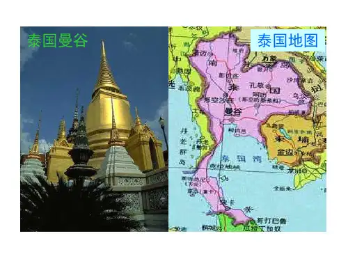 人教新课标五年级语文下册《8.27与象共舞》课件
