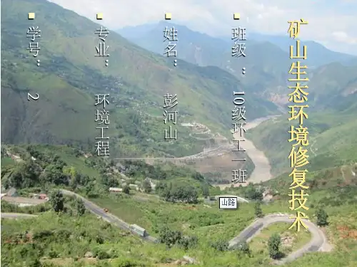 矿山生态修复技术PPT课件