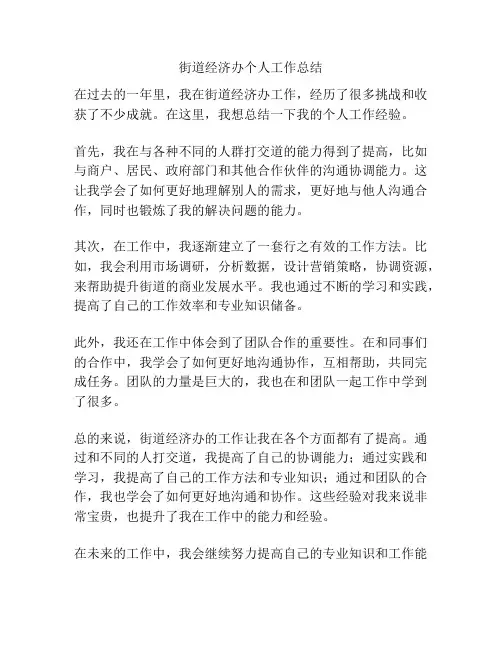 街道经济办个人工作总结