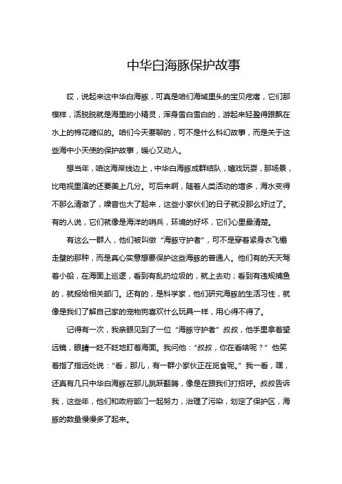 中华白海豚保护故事