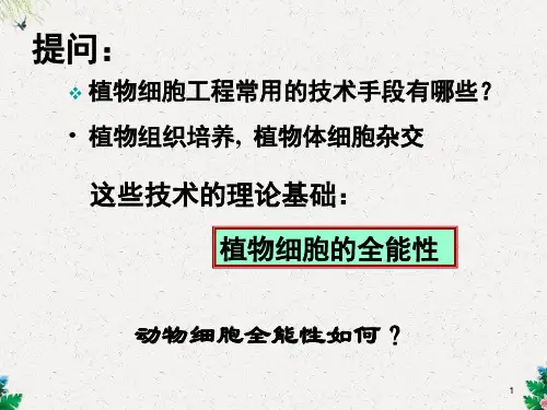 《动物细胞工程》课件