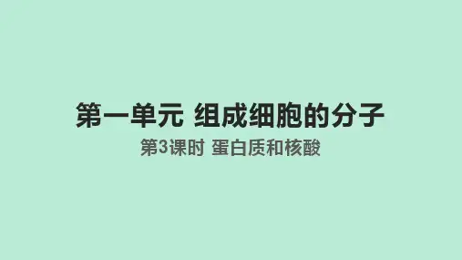 【课件】高三一轮复习生物：第3课时 蛋白质和核酸课件