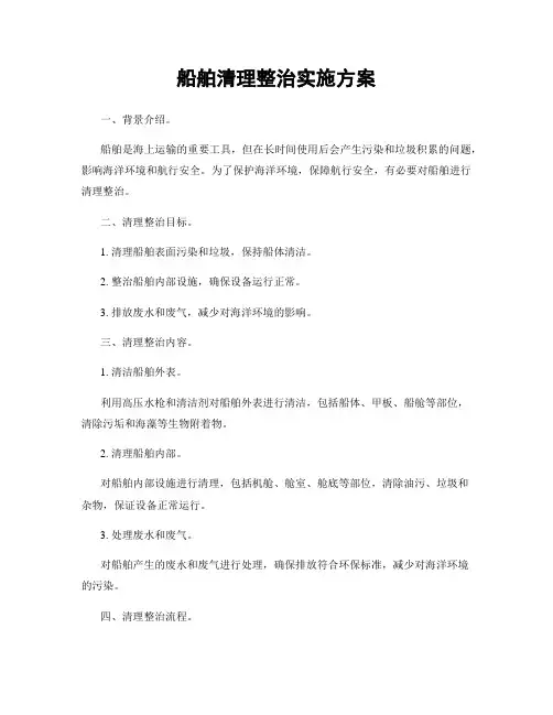 船舶清理整治实施方案