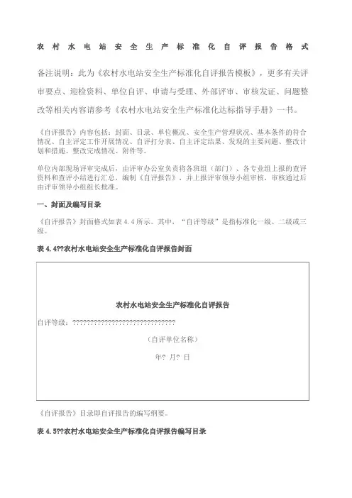 农村水电站安全生产标准化自评报告模板)