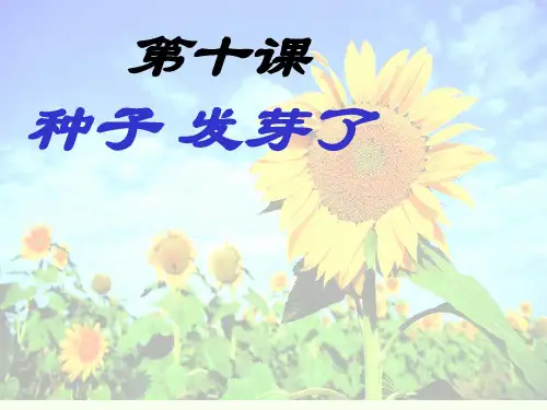 青岛版五年级科学下册10种子发芽了最新课件