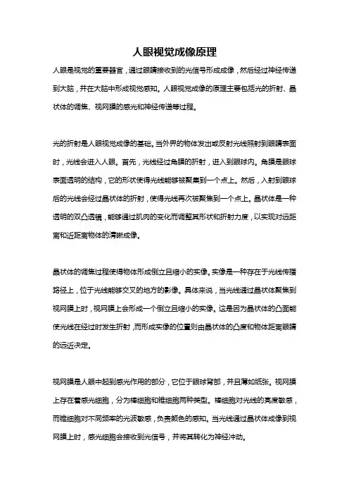人眼视觉成像原理