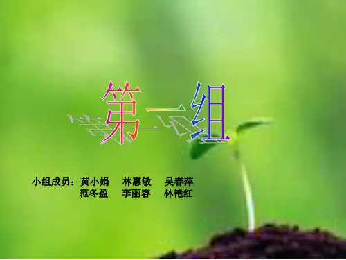 意见领袖