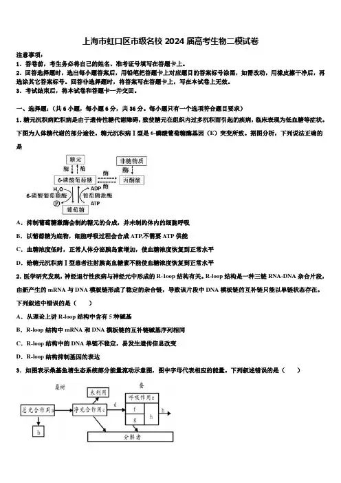 上海市虹口区市级名校2024届高考生物二模试卷含解析