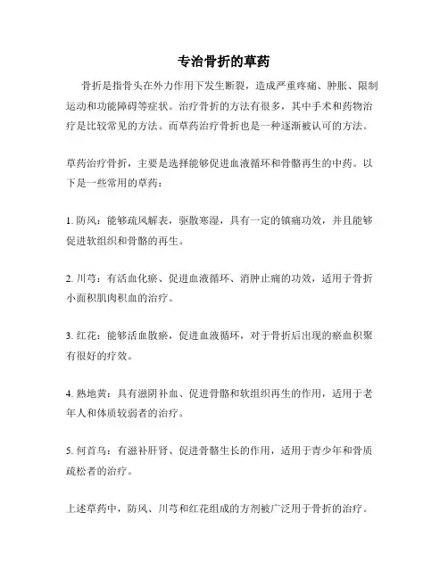 专治骨折的草药