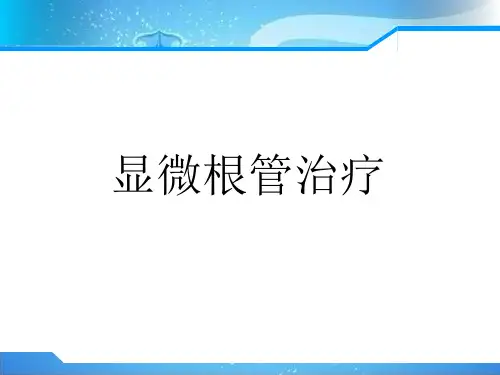 显微根管治疗课件