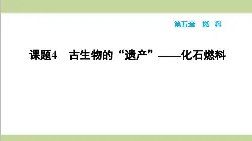 科学版九年级上册化学 5.4 古生物的“遗产”——化石燃料 重点习题练习复习课件