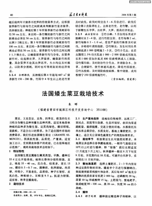 法国矮生菜豆栽培技术