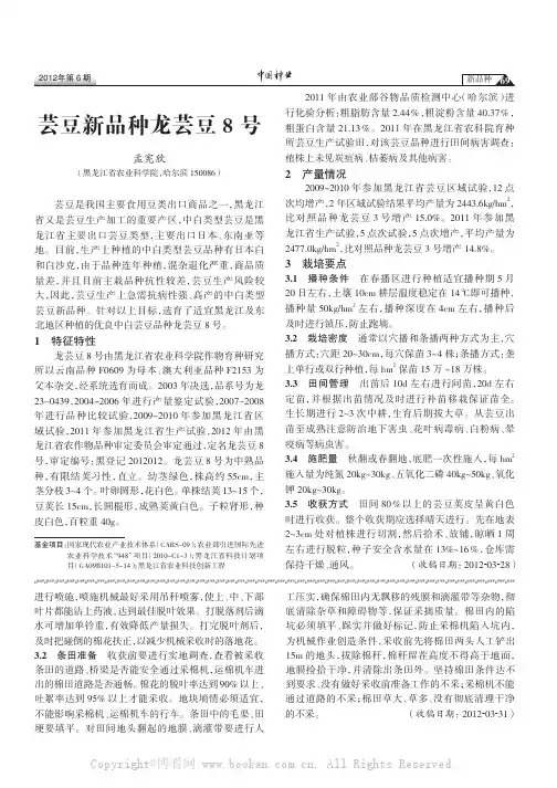 芸豆新品种龙芸豆8号
