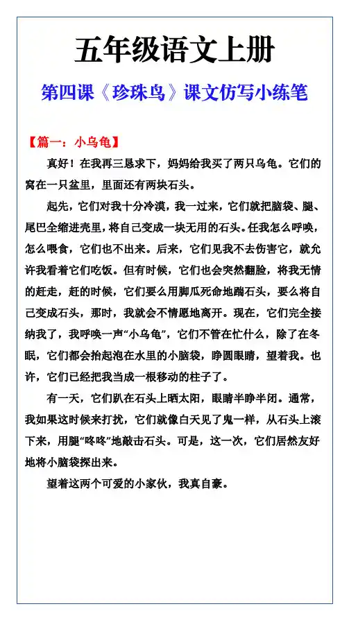 五年级语文上册第四课《珍珠鸟》课文仿写小练笔