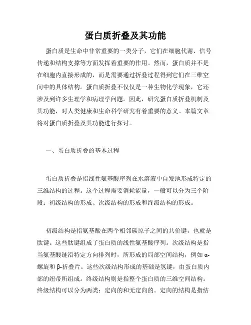 蛋白质折叠及其功能
