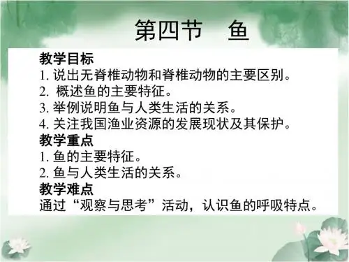 人教初中生物八上《第5单元 第1章 第4节 鱼》PPT课件 (8)