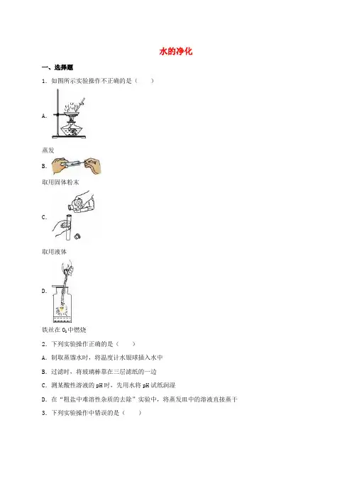 中考化学专题训练水的净化