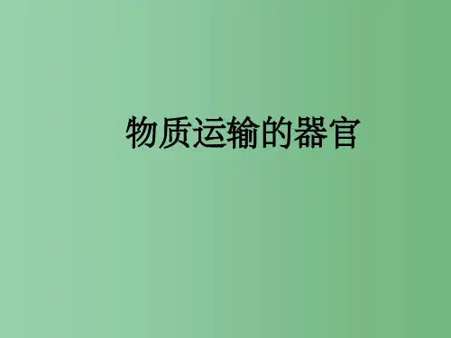 七年级生物下册 3.3.2物质运输的器官课件2 济南版