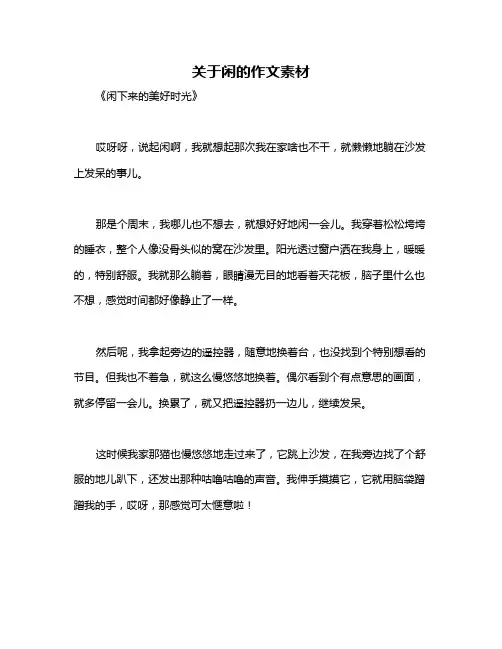 关于闲的作文素材