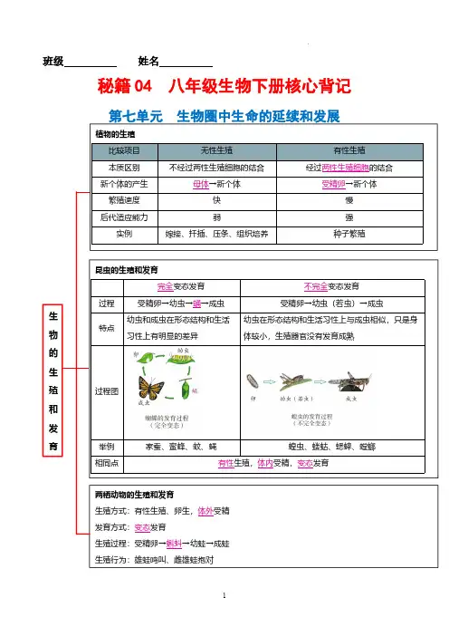 2024年中考生物抢分秘籍(全国通用)八年级生物下册核心背记(10类要点归纳)(解析版)