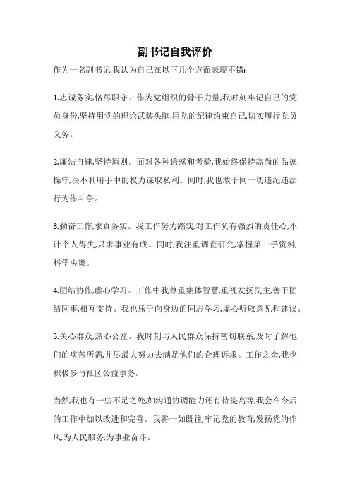 副书记自我评价