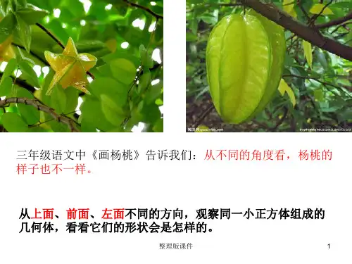人教版小学数学四年级下册观察物体(二)教学完整ppt课件