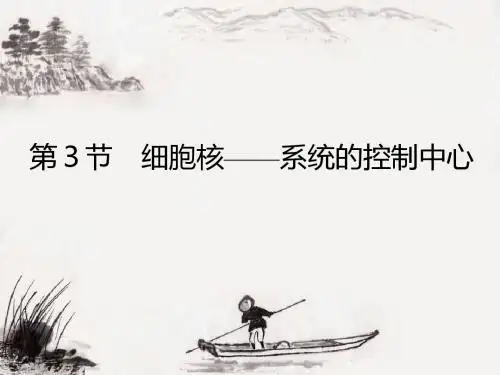 人教版高一生物必修一 3.3 细胞核-系统的控制中心(共27张PPT)-PPT文档资料