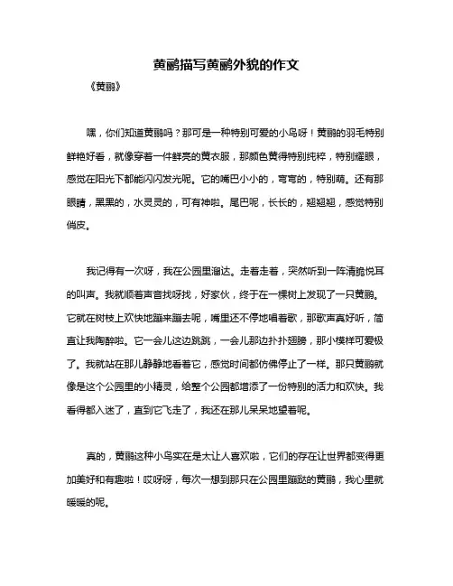 黄鹂描写黄鹂外貌的作文