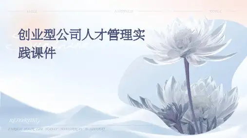创业型公司人才管理实践课件