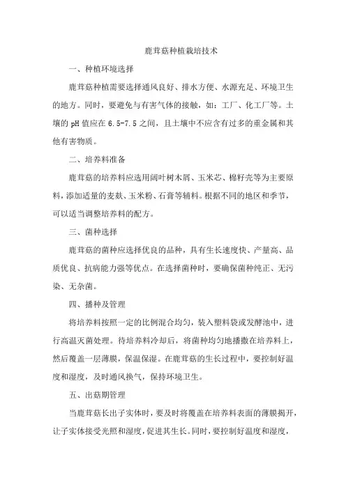 鹿茸菇种植栽培技术