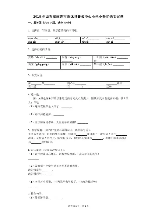 2018年山东省临沂市临沭县青云中心小学小升初语文试卷