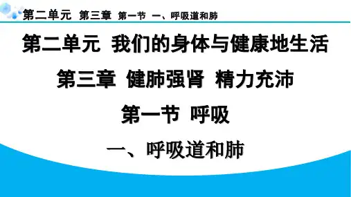 七年级下册生物冀少版【习题】1.第一节  呼吸1