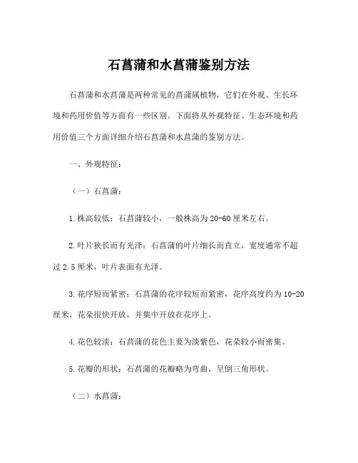 石菖蒲和水菖蒲鉴别方法