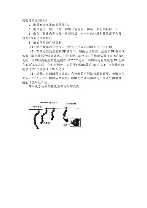 酶的特性
