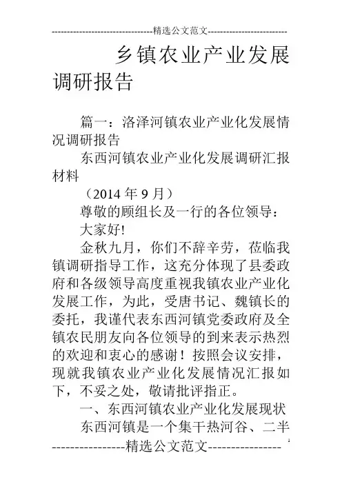 乡镇农业产业发展调研报告