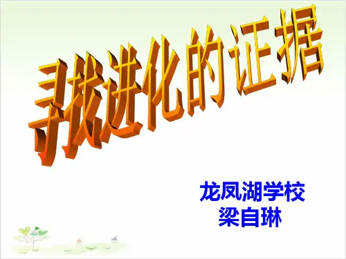 五年级下册公开课-1 寻找进化的证据冀教版 (15张)课件下载