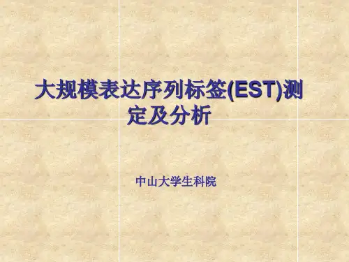 EST