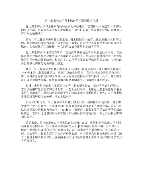 肾上腺素和去甲肾上腺素的区别和临床作用