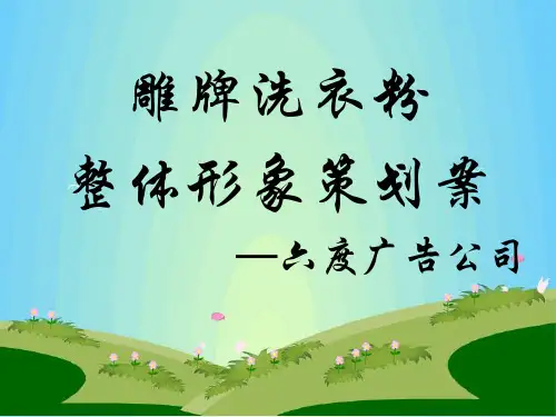 雕牌洗衣粉